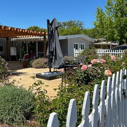 Three Home Village - The lovely front yard where group gatherings are held.