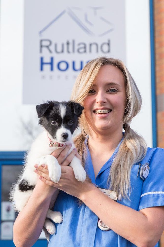 RUTLAND HOUSE VETERINARY HOSPITAL 20 Photos 4 Abbotsfield Road