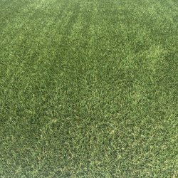 SYNlawn Kern County