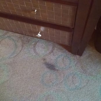 The Dextro - Fresh clean carpet in a premium room. - Hotels Near Me - San Diego, California The Dextro - Fresh clean carpet in a premium room. - Hotels Near Me - San Diego, California