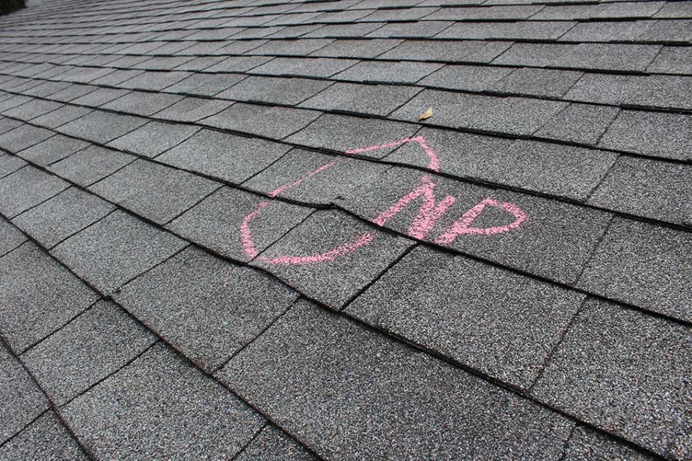 JTC Roofing and Restoration - tree service in Birmingham, AL