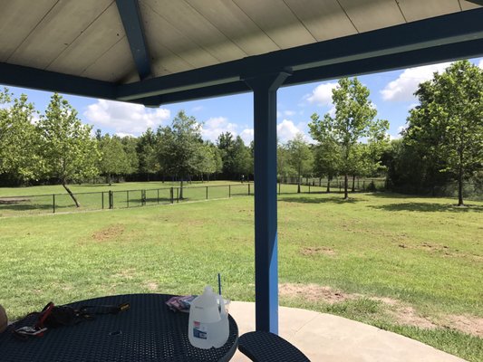 Meadow Woods Dog Park