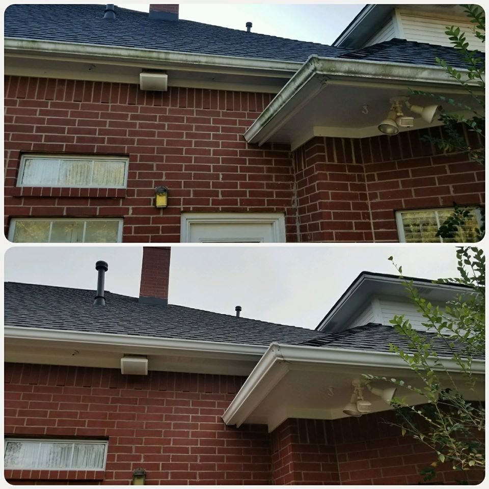 Slide of Wolf's Pro Clean