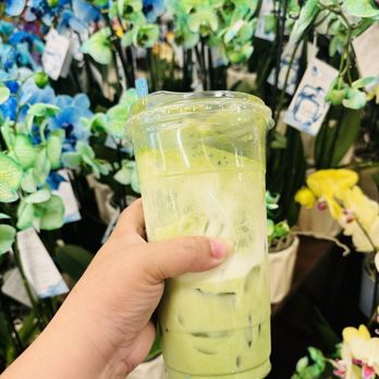 Nephews Coffee - Large matcha with cold foam - Coffee & Tea Near Me - Phoenix, Arizona
