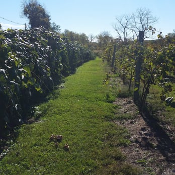 Four Sisters Winery - Grapes - Venues & Event Spaces Near Me - Belvidere, New Jersey Four Sisters Winery - Grapes - Venues & Event Spaces Near Me - Belvidere, New Jersey