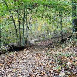 Machine Falls, Laurel Bluff, and Adams Falls Loops