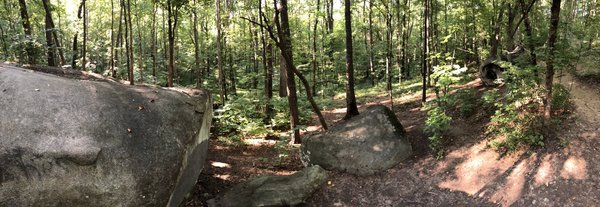 Big Rock Nature Preserve by null