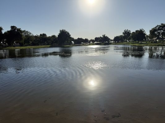 The Park at River Walk by null