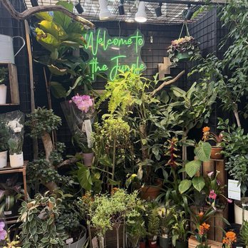 Jordan's Jungle - Beautiful entrance - Nurseries & Gardening Near Me - Pawtucket, Rhode Island