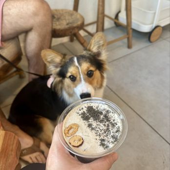 Daycation Coffee - Ode to the 90's - Coffee & Tea Near Me - St. Petersburg, Florida Daycation Coffee - Ode to the 90's - Coffee & Tea Near Me - St. Petersburg, Florida