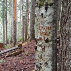 Goat Lake Trail - David!!! Thanks for leaving your mark for the future generations to Enjoy!