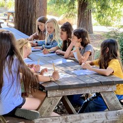 Marin Waldorf School