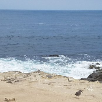 La Jolla Cove - Parks Near Me - La Jolla, California La Jolla Cove - Parks Near Me - La Jolla, California