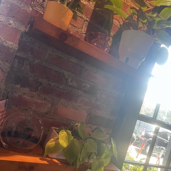 Aaktun Coffee & Bar - Inside - Coffee & Tea Near Me - Durham, North Carolina