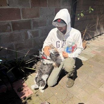Alonso's Hauling & Yard cleanup - Even dogs love Alonso! - Lawn Services Near Me