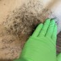 Photo of Monkey Wax Bar