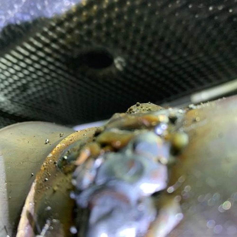 NorCal Muffler - Wrong - Auto Customization Near Me - Roseville, California NorCal Muffler - Wrong - Auto Customization Near Me - Roseville, California