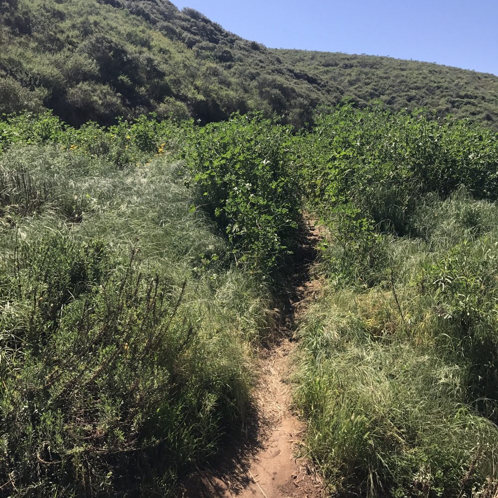 Copper Creek Falls Trail - Restricted Access - Hiking Near Me - San Marcos, California Copper Creek Falls Trail - Restricted Access - Hiking Near Me - San Marcos, California