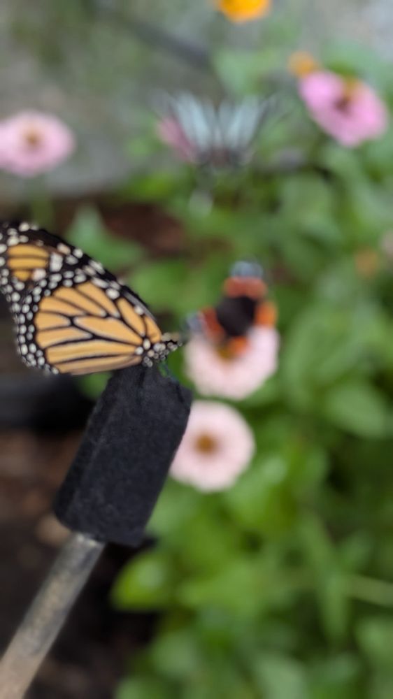 Chattahoochee Nature Center - social services organization in Roswell, GA