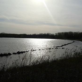 Mallard Lake County Forest Preserve - Fishing Near Me - Dupage, Illinois