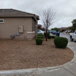 Cactus Blessed landscaping