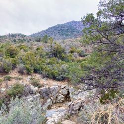 Green Gulch Trailhead - View west from Red Mountain trail #43