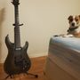 Photo of Adrian’s Guitar Set Up and Repair