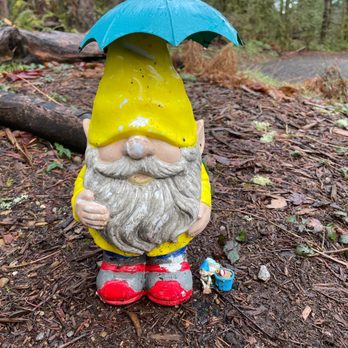Gnomes Trail - Hiking Near Me - Maple Valley, Washington Gnomes Trail - Hiking Near Me - Maple Valley, Washington