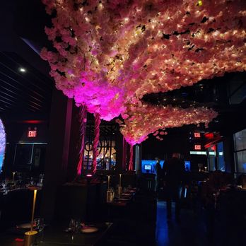 Sky Wise Lounge - Asian Fusion Near Me - Brooklyn, New York