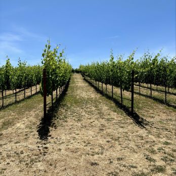 Pride Mountain Vineyards - Wineries Near Me - St. Helena, California