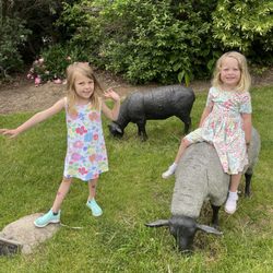 Benson Sculpture Garden - Find photo opportunities
