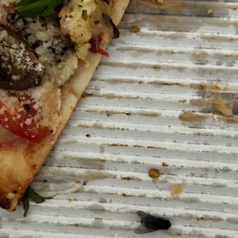 Uccello's - Downtown - A bug in the pizza, ew! - Sports Bars Near Me - Grand Rapids, Michigan Uccello's - Downtown - A bug in the pizza, ew! - Sports Bars Near Me - Grand Rapids, Michigan