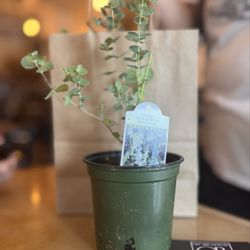 Off Broadway Floral Events