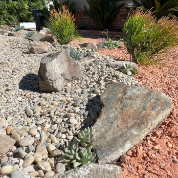 Art House Landscape - rock swell with succulents for rain retention - Landscaping Near Me - Los Angeles, California
