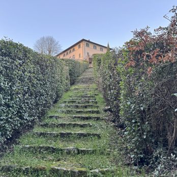 Dievole - Wineries Near Me - Vagliagli (SI), SI