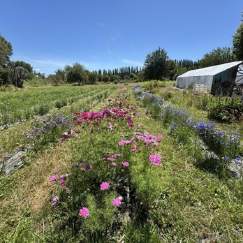 21 Acres - Farmers Market Near Me - Woodinville, Washington