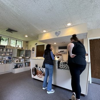 Cat Clinic - Cat Clinic in the lobby - Veterinarians Near Me - Mill Valley, California