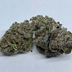 Nature's Miracle - Apple Fritter Hybrid