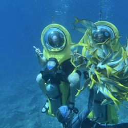 BOSS Underwater Adventure - Scooters and fish