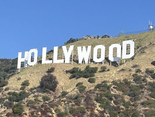 Hollywood Sign by null