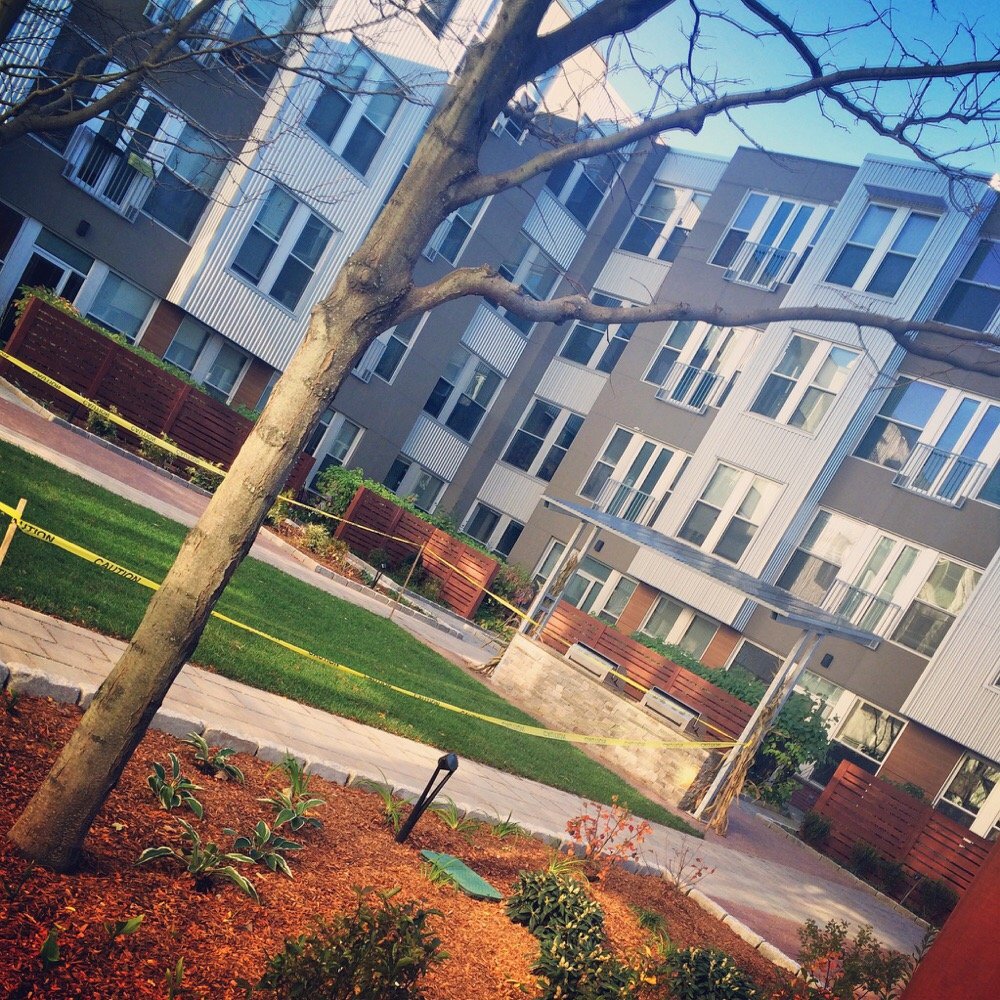 Mezzo Design - Renovated courtyard - Apartments Near Me - Charlestown, Massachusetts
