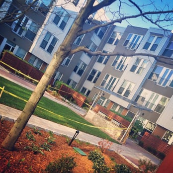 Mezzo Design - Renovated courtyard - Apartments Near Me - Charlestown, Massachusetts