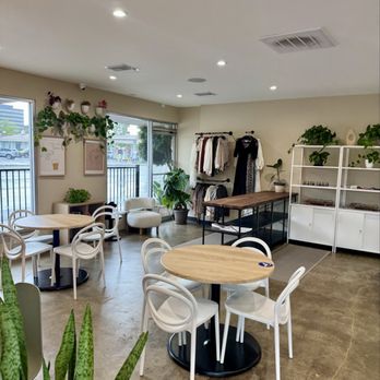 Salum Juice Bar & Cafe - Inside - Juice Bars & Smoothies Near Me - Campbell, California