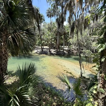 Gemini Springs Park - Corner section of Gemini Springs has photogenic components. Unfortunately no swimming is allowed. - Parks Near Me - Debary, Florida