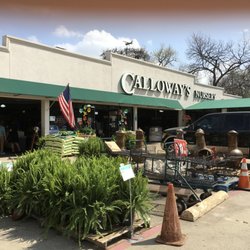 Calloway's Nursery