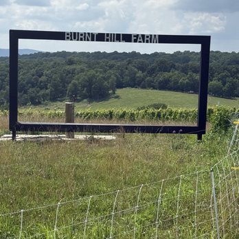Burnt Hill Farm - Wineries Near Me - Clarksburg, Maryland