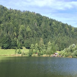Sommersbergsee - Sommersbergsee (ein Moorsee)