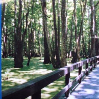 Sierra National Forest - Hiking Near Me - Clovis, California