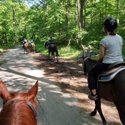Top View Riding Ranch