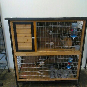 Pets & More - Pets - Pet Stores Near Me - Ojai, California